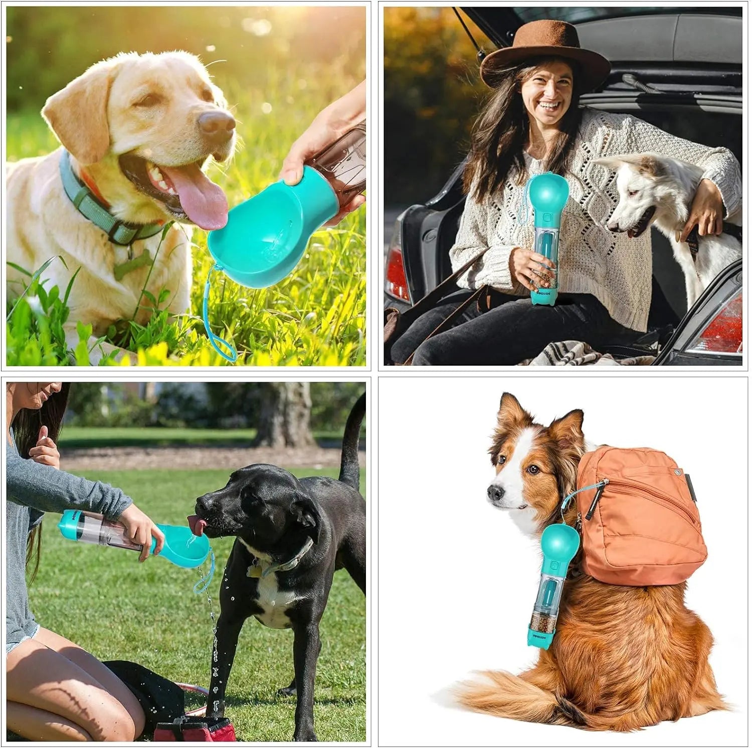 4-in-1 Adventure Pet Travel Bottle
